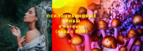 первитин Белоозёрский