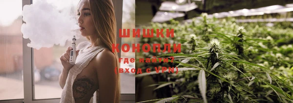 стаф Белокуриха