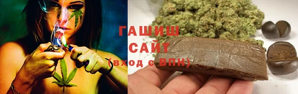 стаф Белокуриха
