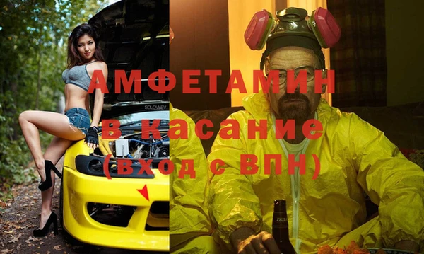 стаф Белокуриха