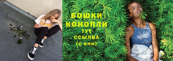 стаф Белокуриха