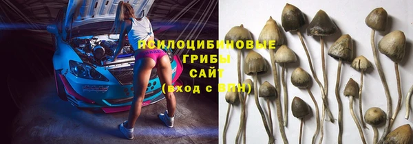 стаф Белокуриха